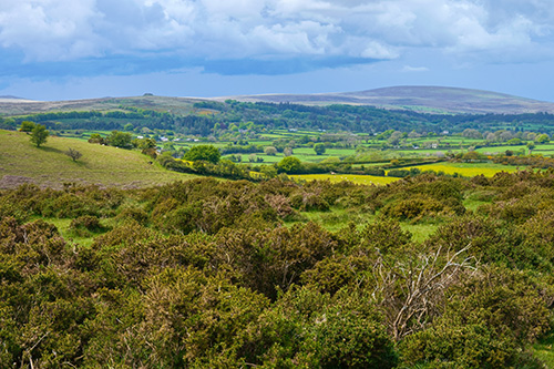 dartmoor national park